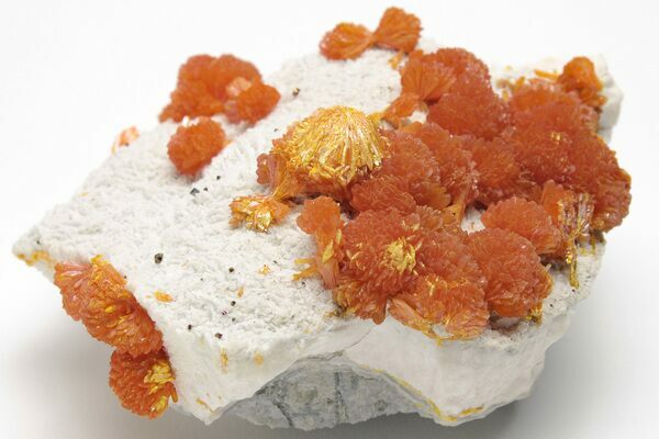 Vibrant Orange Orpiment Crystals on Barite from the El'brusskiy Arsenic Mine in Russia